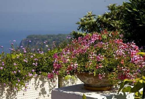 Hotel Da Gelsomina Anacapri  Exterior foto